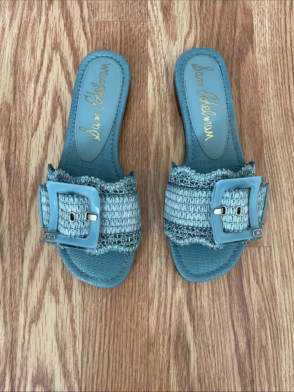 Sam Edelman Bambi Sandals, Coastal Blue, 7.5